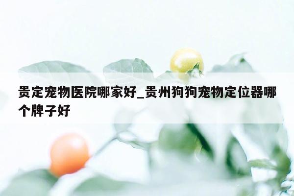 贵定宠物医院哪家好_贵州狗狗宠物定位器哪个牌子好