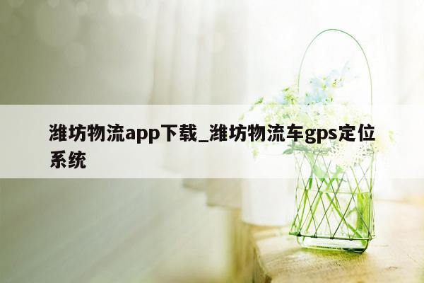 潍坊物流app下载_潍坊物流车gps定位系统