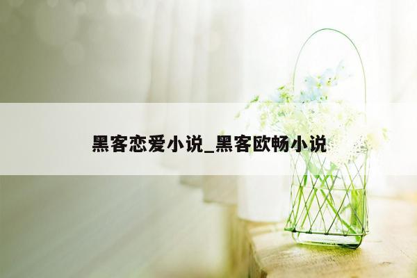 黑客恋爱小说_黑客欧畅小说