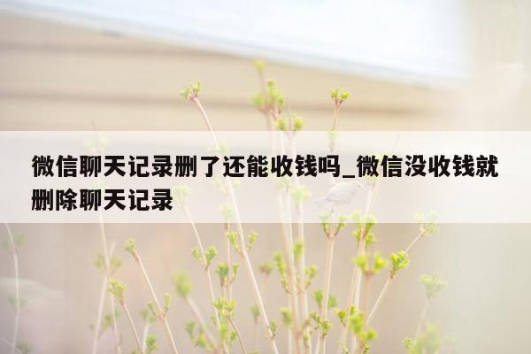 微信聊天记录删了还能收钱吗_微信没收钱就删除聊天记录