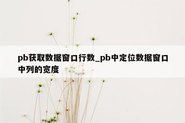 pb获取数据窗口行数_pb中定位数据窗口中列的宽度