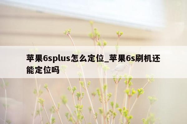 苹果6splus怎么定位_苹果6s刷机还能定位吗