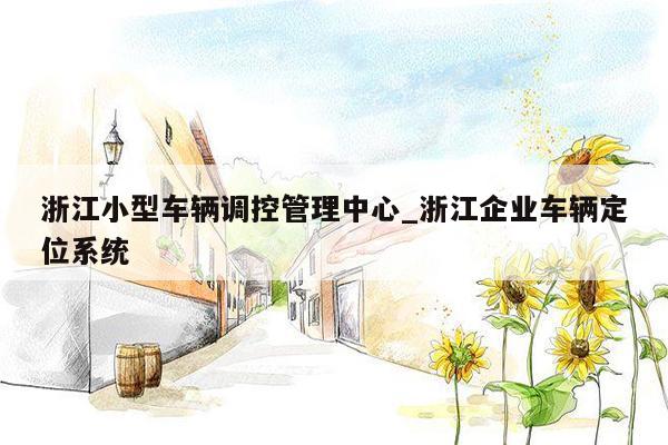 浙江小型车辆调控管理中心_浙江企业车辆定位系统