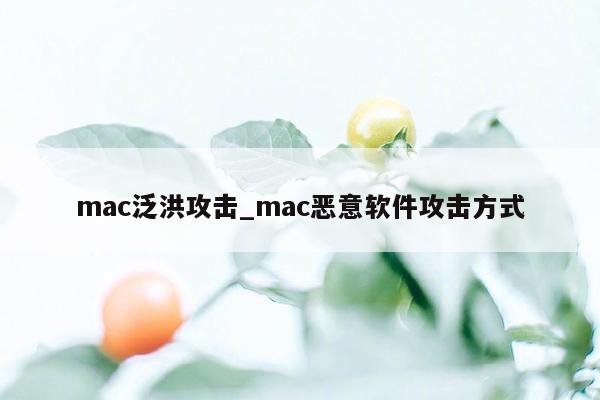 mac泛洪攻击_mac恶意软件攻击方式