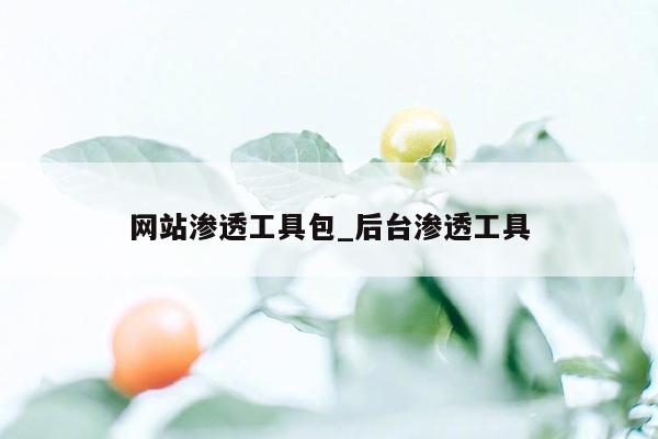 网站渗透工具包_后台渗透工具