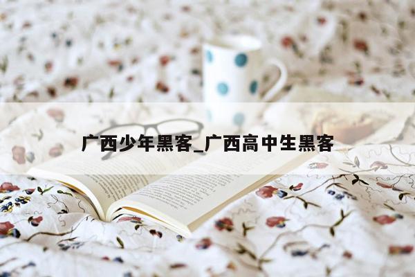 广西少年黑客_广西高中生黑客