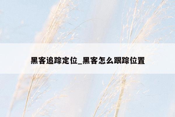 黑客追踪定位_黑客怎么跟踪位置