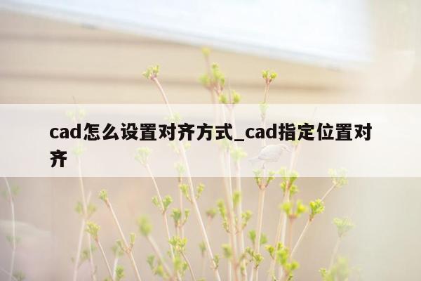 cad怎么设置对齐方式_cad指定位置对齐