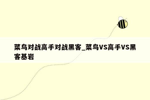 菜鸟对战高手对战黑客_菜鸟VS高手VS黑客基岩