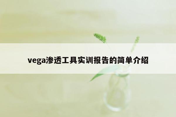 vega渗透工具实训报告的简单介绍