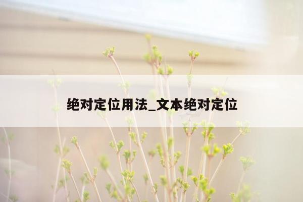 绝对定位用法_文本绝对定位