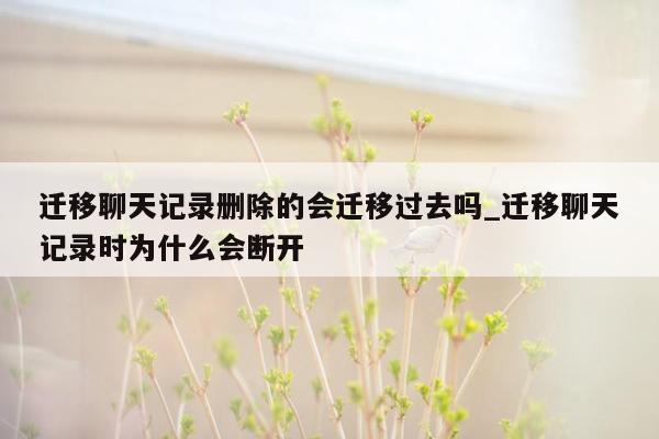 迁移聊天记录删除的会迁移过去吗_迁移聊天记录时为什么会断开
