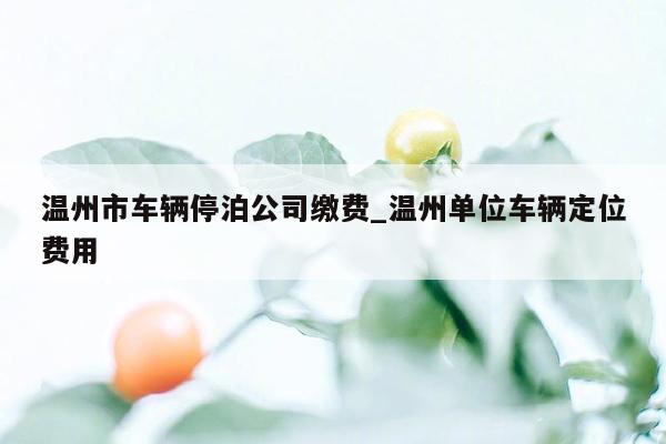 温州市车辆停泊公司缴费_温州单位车辆定位费用