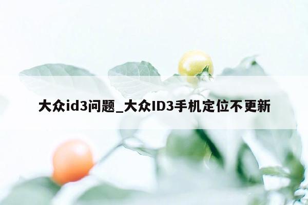 大众id3问题_大众ID3手机定位不更新