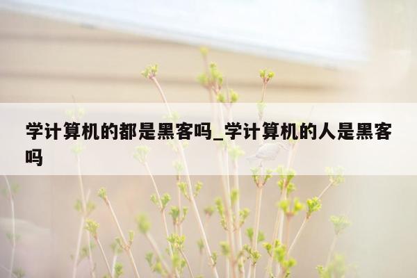 学计算机的都是黑客吗_学计算机的人是黑客吗