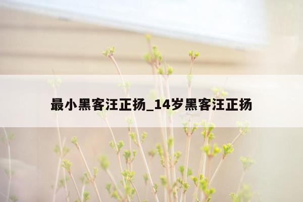 最小黑客汪正扬_14岁黑客汪正扬