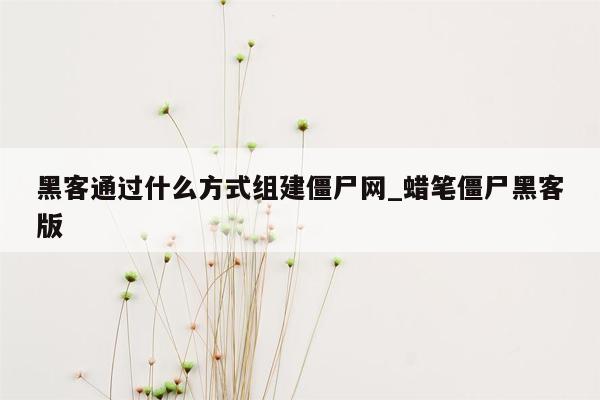 黑客通过什么方式组建僵尸网_蜡笔僵尸黑客版