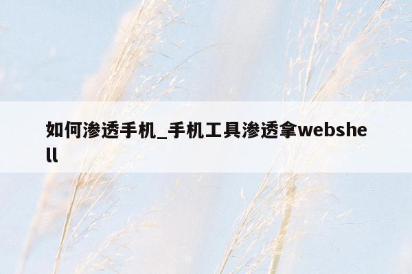 如何渗透手机_手机工具渗透拿webshell