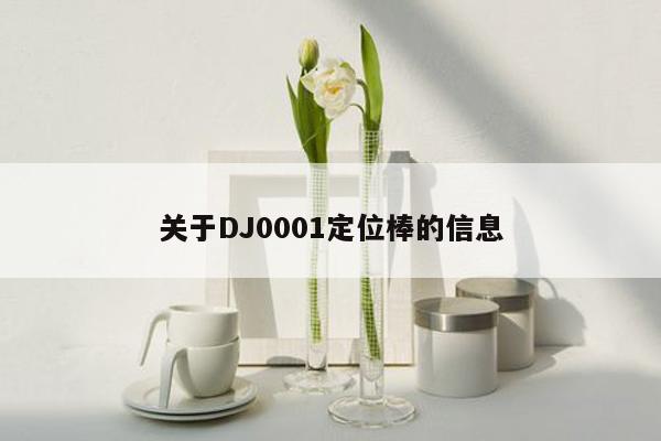 关于DJ0001定位棒的信息