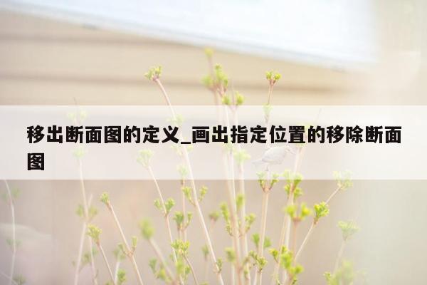 移出断面图的定义_画出指定位置的移除断面图