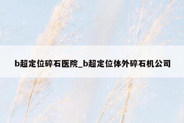 b超定位碎石医院_b超定位体外碎石机公司