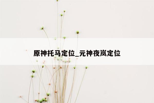 原神托马定位_元神夜岚定位