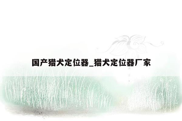 国产猎犬定位器_猎犬定位器厂家