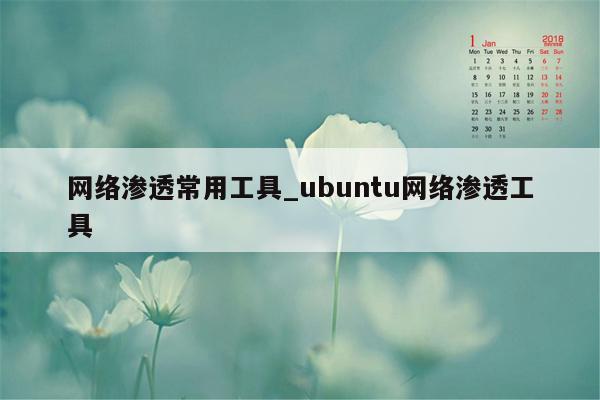 网络渗透常用工具_ubuntu网络渗透工具