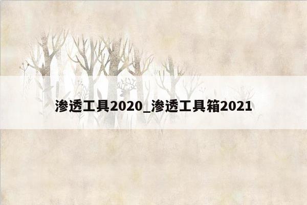 渗透工具2020_渗透工具箱2021