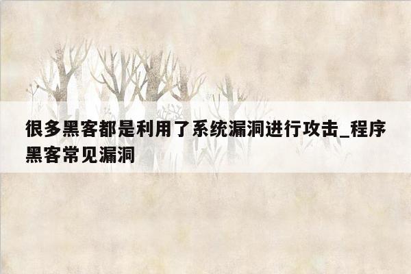 很多黑客都是利用了系统漏洞进行攻击_程序黑客常见漏洞