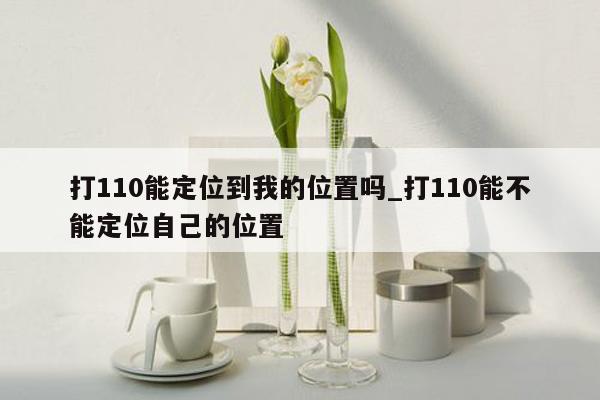 打110能定位到我的位置吗_打110能不能定位自己的位置
