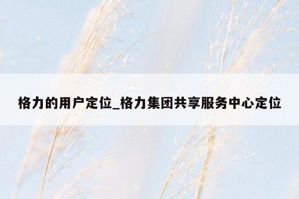 格力的用户定位_格力集团共享服务中心定位