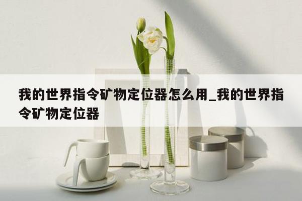 我的世界指令矿物定位器怎么用_我的世界指令矿物定位器