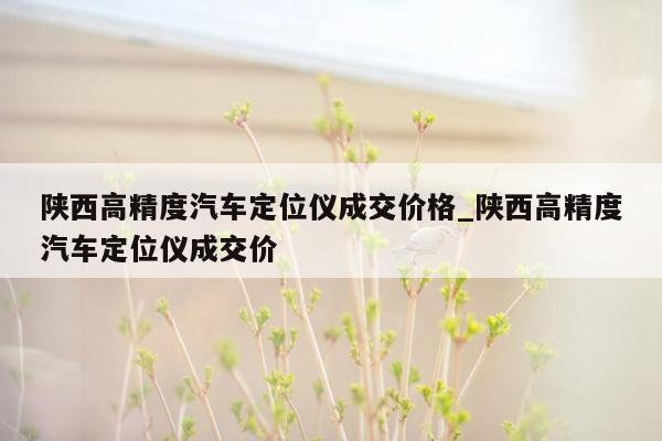 陕西高精度汽车定位仪成交价格_陕西高精度汽车定位仪成交价