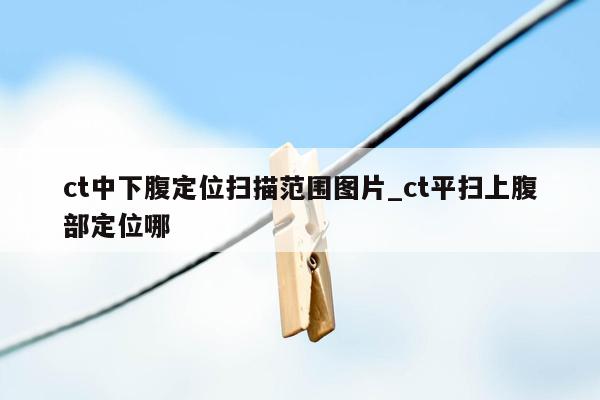 ct中下腹定位扫描范围图片_ct平扫上腹部定位哪