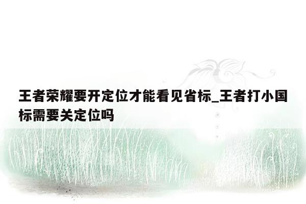 王者荣耀要开定位才能看见省标_王者打小国标需要关定位吗