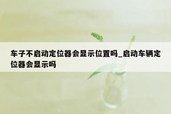 车子不启动定位器会显示位置吗_启动车辆定位器会显示吗