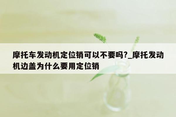摩托车发动机定位销可以不要吗?_摩托发动机边盖为什么要用定位销