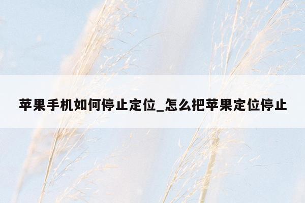 苹果手机如何停止定位_怎么把苹果定位停止