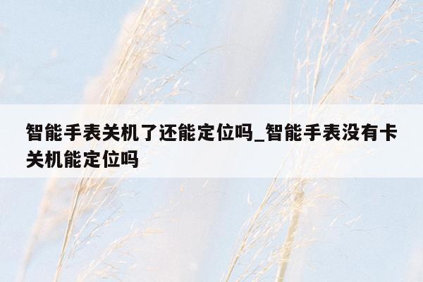 智能手表关机了还能定位吗_智能手表没有卡关机能定位吗