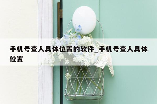 手机号查人具体位置的软件_手机号查人具体位置