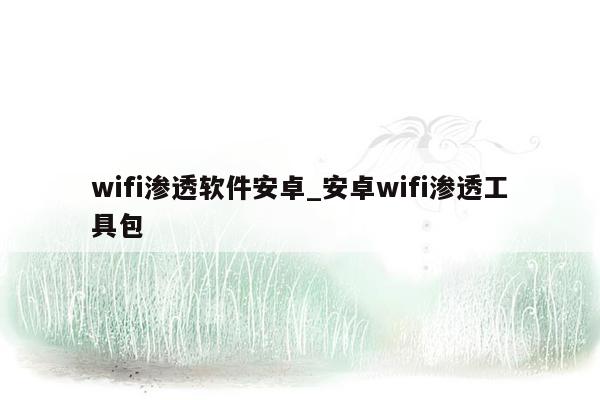 wifi渗透软件安卓_安卓wifi渗透工具包