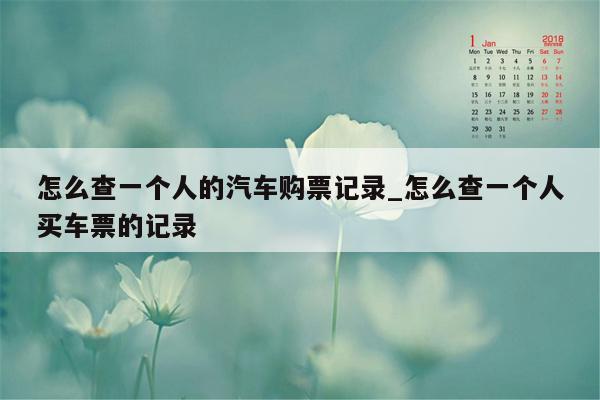怎么查一个人的汽车购票记录_怎么查一个人买车票的记录