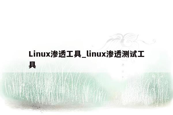 Linux渗透工具_linux渗透测试工具