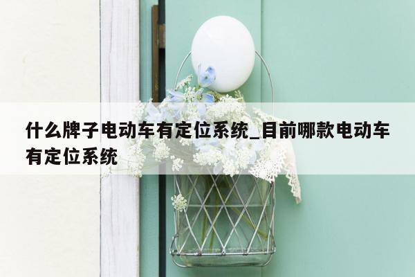 什么牌子电动车有定位系统_目前哪款电动车有定位系统