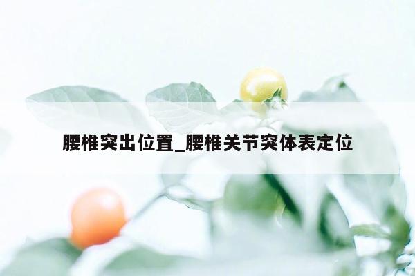 腰椎突出位置_腰椎关节突体表定位