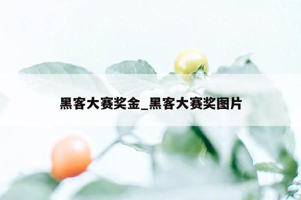 黑客大赛奖金_黑客大赛奖图片