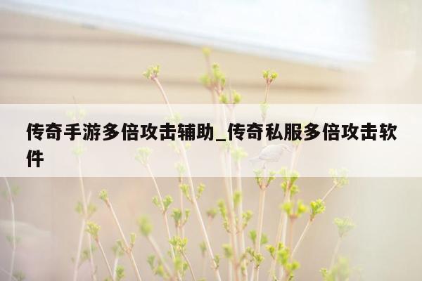 传奇手游多倍攻击辅助_传奇私服多倍攻击软件