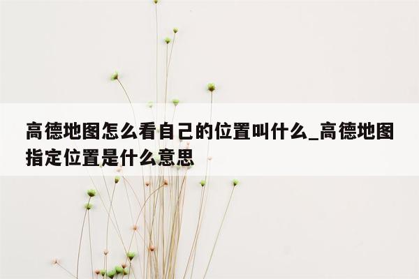 高德地图怎么看自己的位置叫什么_高德地图指定位置是什么意思