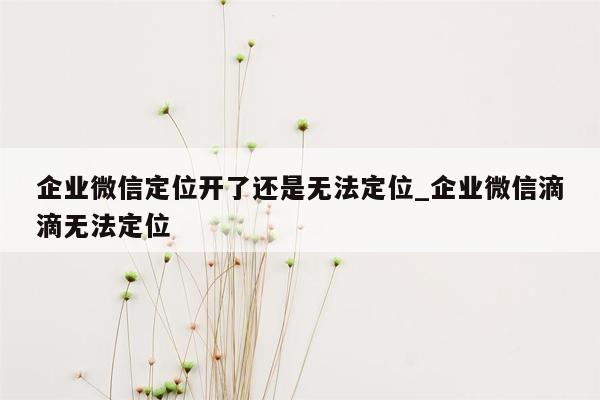 企业微信定位开了还是无法定位_企业微信滴滴无法定位